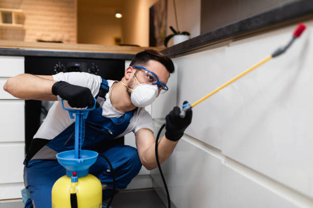 Best Local Pest Control Services  in Maple Plain, MN