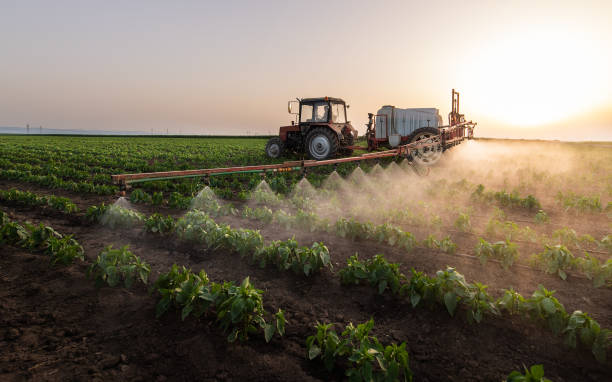 Best Cockroach Control Services  in Maple Plain, MN