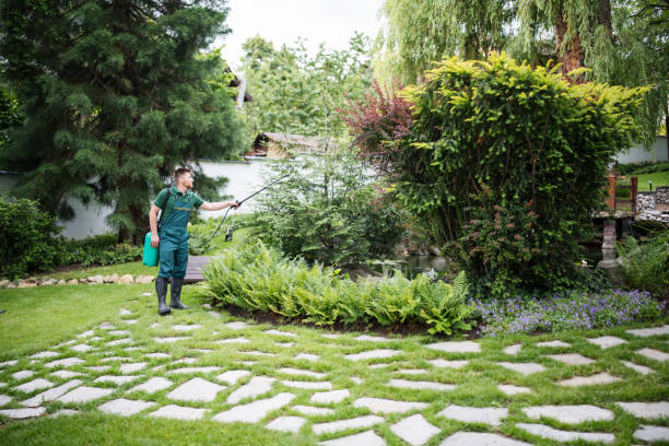 Best Emergency Pest Control  in Maple Plain, MN