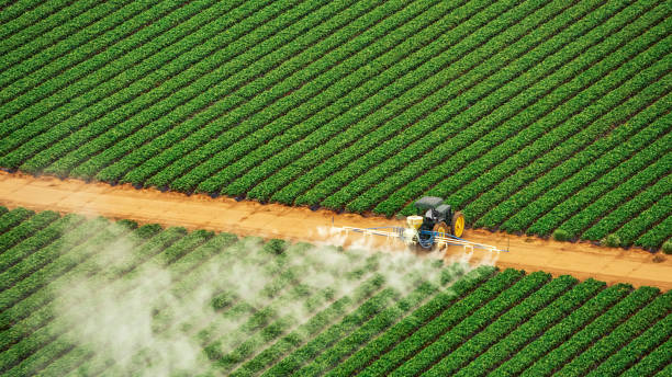 Reliable Maple Plain, MN Pest Control Solutions